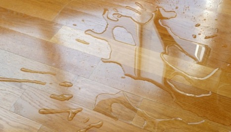 Sàn gỗ chống nước của Eco Vũ Hoằng