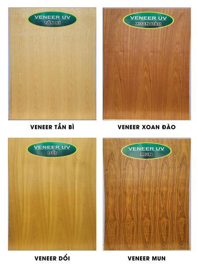 Veneer-uv-trang-2