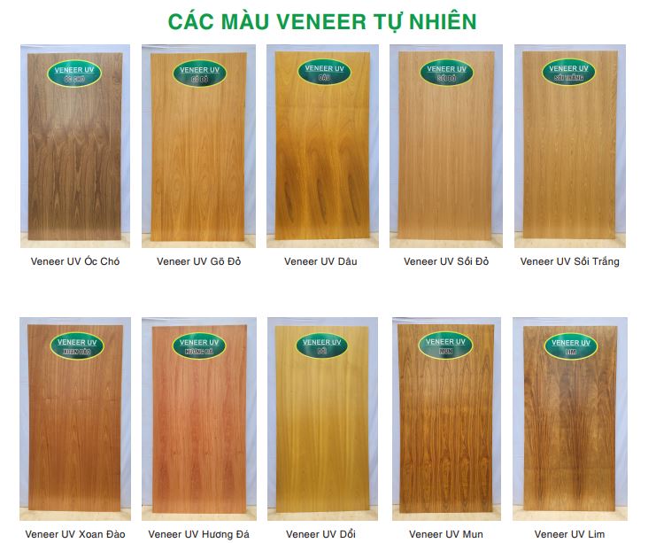hkv-door-chon-mau-veneer