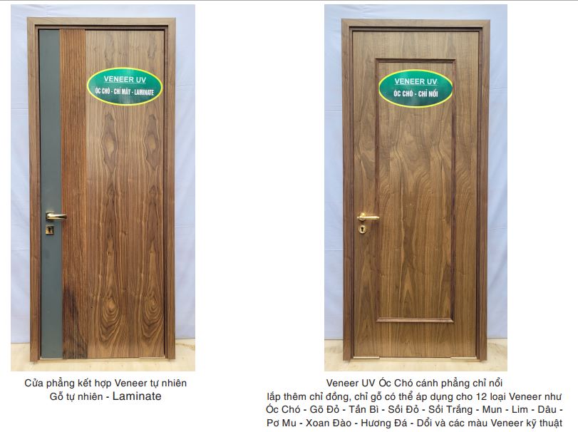 hkv-door-san-pham-2