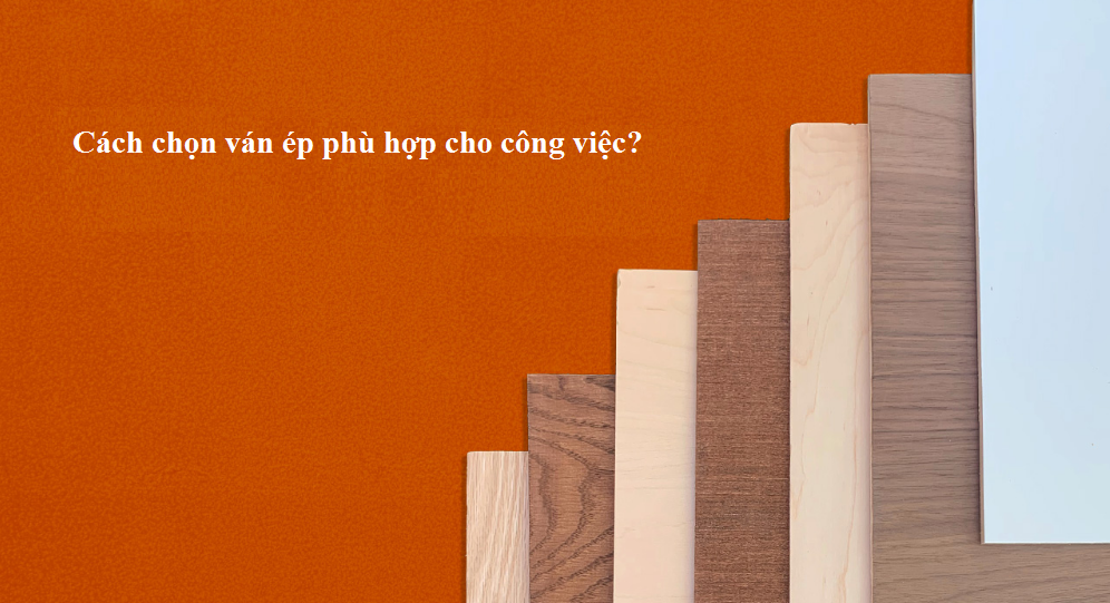 Cách chọn plywood phù hợp cho công việc