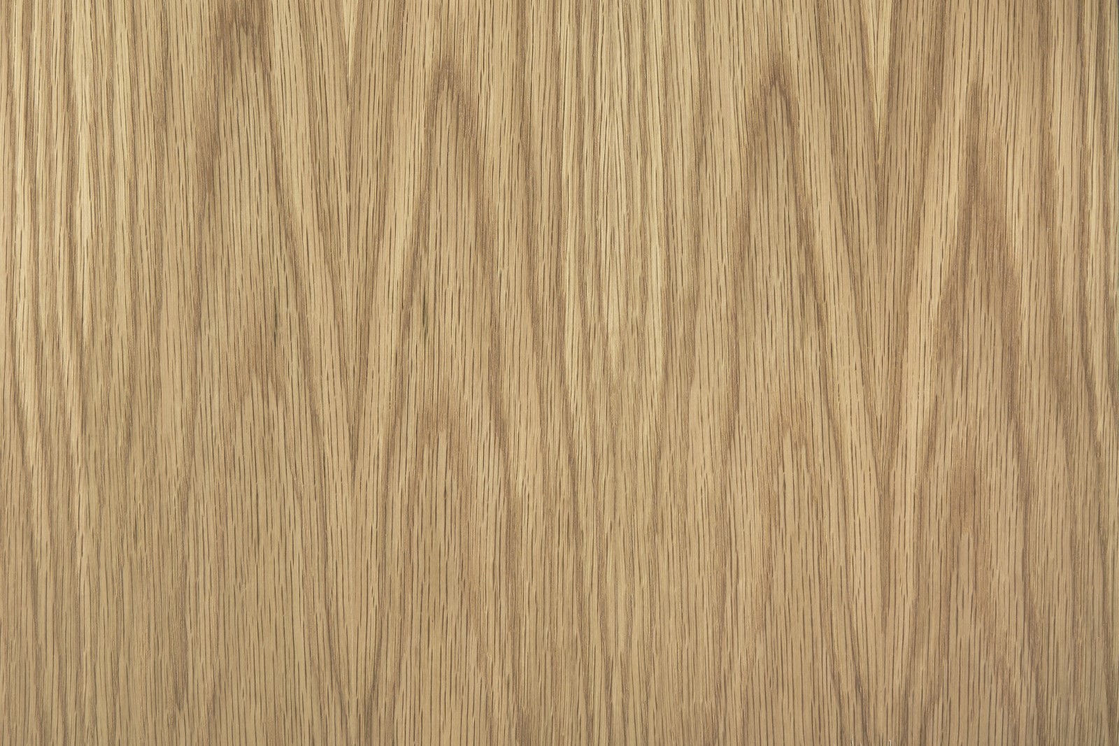 Sàn gỗ phủ Sồi có ưu điểm gì? Có nên lắp đặt sàn gỗ phủ Sồi hay không?