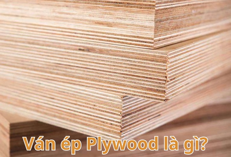 Gỗ Plywood có độc hại không? Tại sao lại được ưa chuộng